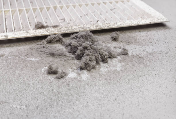 Best Air Duct Mold Removal  in San Carlos Park, FL