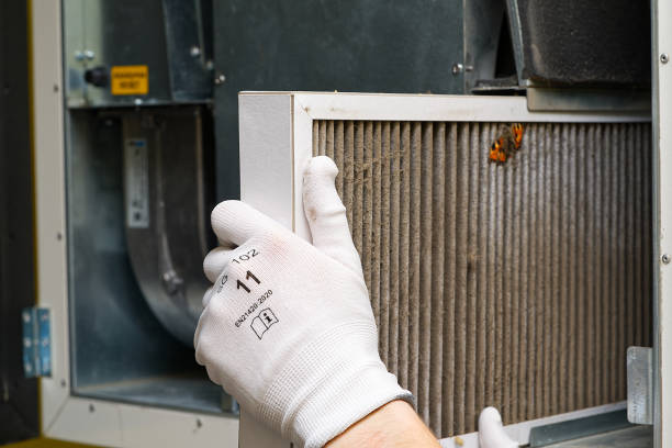 Best Duct Cleaning Specialists  in San Carlos Park, FL