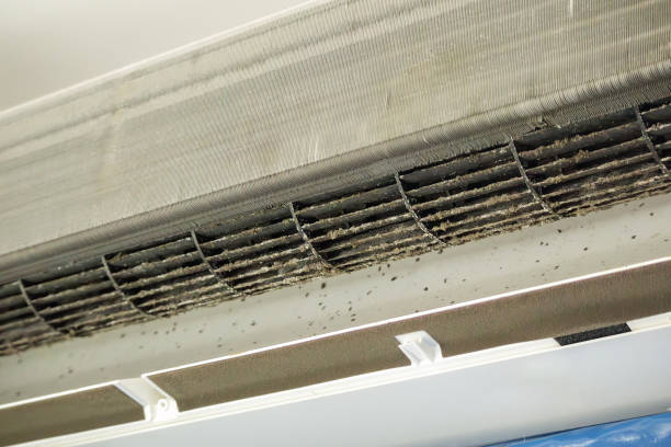 Best Ductwork Cleaning Services  in San Carlos Park, FL